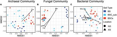 A Comprehensive Network Integrating Signature Microbes and Crucial Soil Properties During Early Biological Soil Crust Formation on Tropical Reef Islands